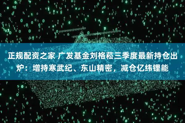 正规配资之家 广发基金刘格菘三季度最新持仓出炉：增持寒武纪、东山精密，减仓亿纬锂能
