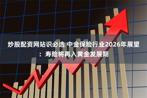 炒股配资网站识必选 中金保险行业2026年展望:寿险将再入黄金发展期