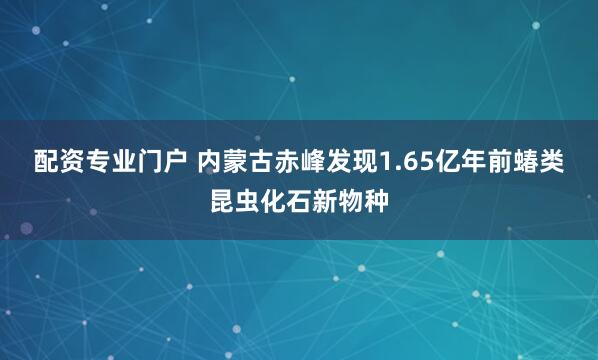 配资专业门户 内蒙古赤峰发现1.65亿年前蝽类昆虫化石新物种