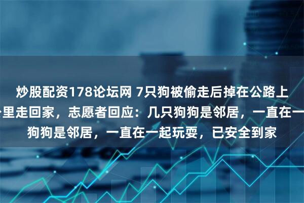 炒股配资178论坛网 7只狗被偷走后掉在公路上,结伴而行跨越17公里走回家,志愿者回应:几只狗狗是邻居,一直在一起玩耍,已安全到家